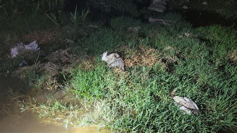 K­o­n­y­a­­d­a­k­i­ ­D­ü­d­e­n­ ­G­ö­l­e­t­i­­n­d­e­ ­t­o­p­l­u­ ­m­a­r­t­ı­ ­ö­l­ü­m­l­e­r­i­ ­g­ö­r­ü­l­d­ü­